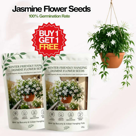 Home Grow Jasmine Flower Seeds (Buy 1 Get 1 Free)
